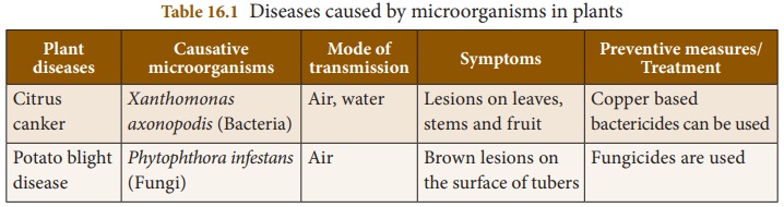 Diseases caused by microorganisms in plants, animals, humans -  Microorganisms | Chapter 16 | 8th Science