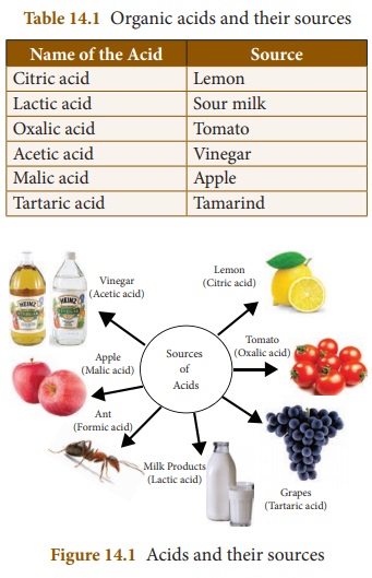 Acids - Physical properties, Chemical properties, Uses of Acids