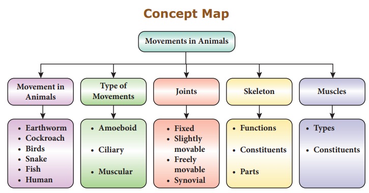 Movements in Animals - Chapter 19 | 8th Science