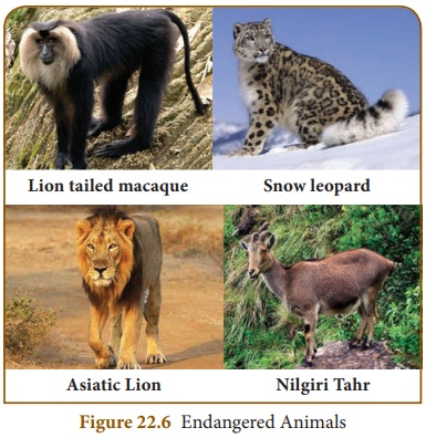 Endangered Species - Conservation of Plants and Animals | Chapter 22 | 8th  Science