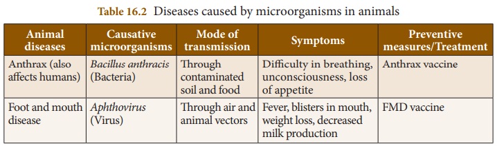 Diseases caused by microorganisms in plants, animals, humans -  Microorganisms | Chapter 16 | 8th Science