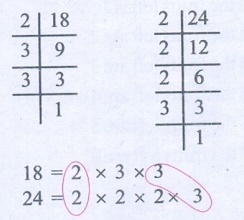 Exercise 1.2 - Questions with Answers, Solution | HCF and LCM | Term 2 ...
