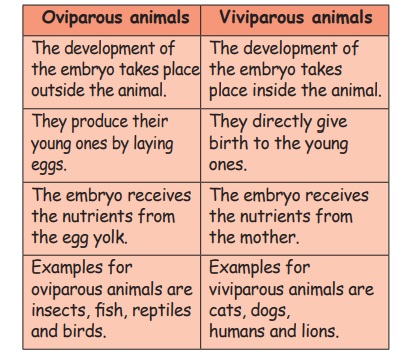 Questions with Answers - Animals | Term 3 Chapter 2 | 5th Science
