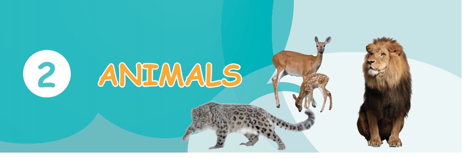 Animals - Term 3 Chapter 2 | 5th Science