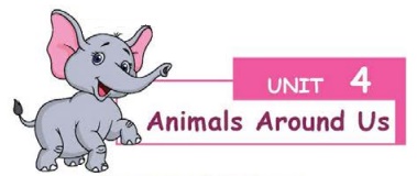Animals Around Us - Term 1 Chapter 4 | 1st EVS Environmental Science