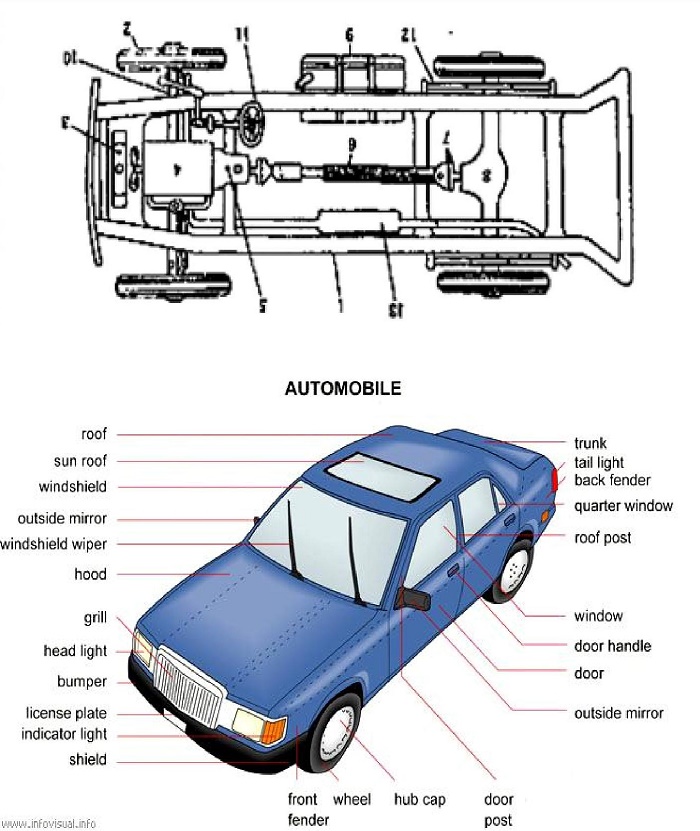 What are the Differences between the Types of Primary Automotive