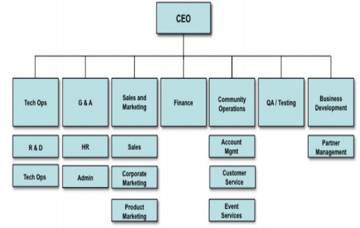 multinational organizational structure
