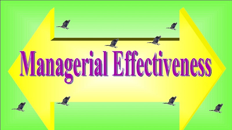 Managerial Behavior and Effectiveness